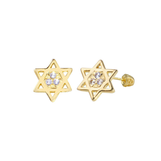 14 Karat Yellow Gold CZ Star of David Screw Back Earrings | Silver Palace Inc.